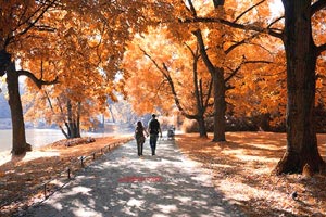 球队内部轮换引发球员自由竞争的故事